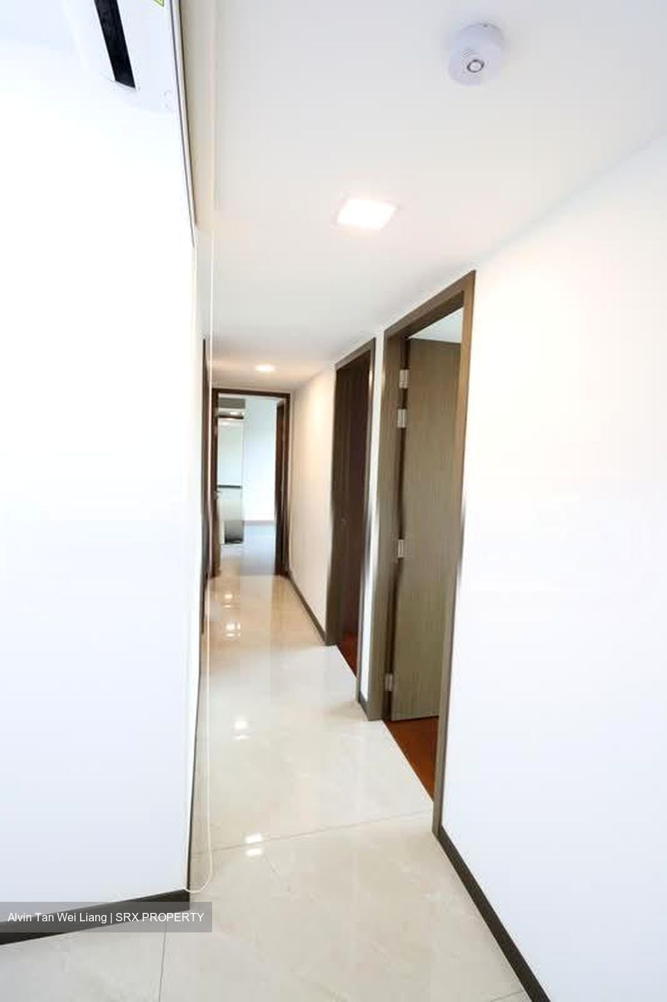 Normanton Park (D5), Apartment #594563771